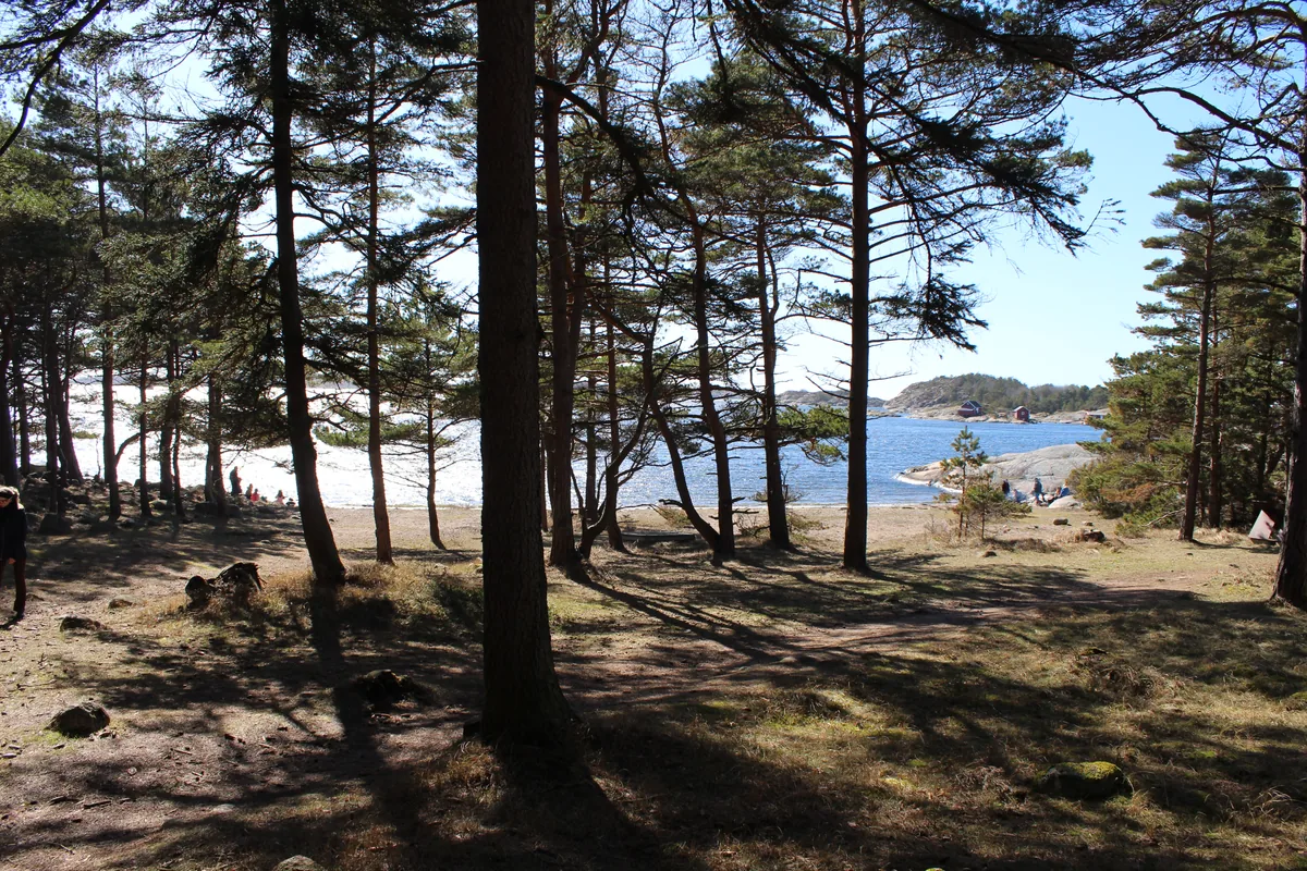 Bilde av Gilbergodden badeplass