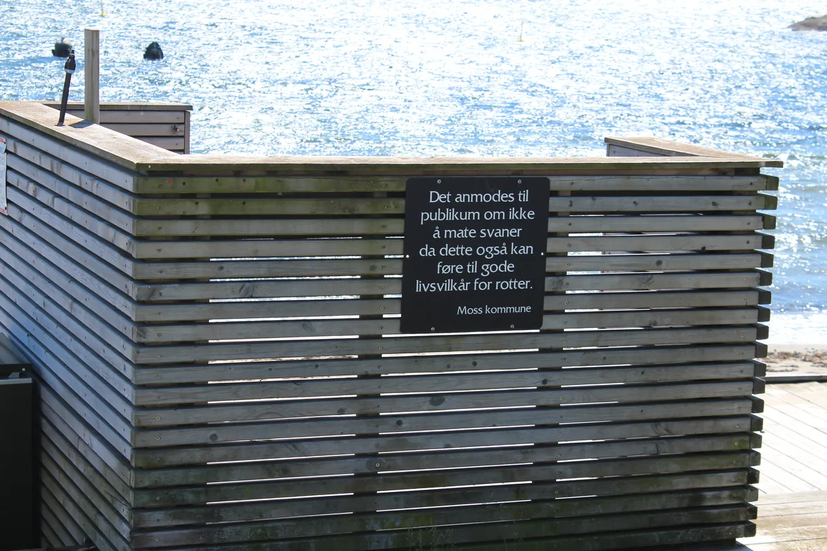 Bilde av Sjøbadet badeplass