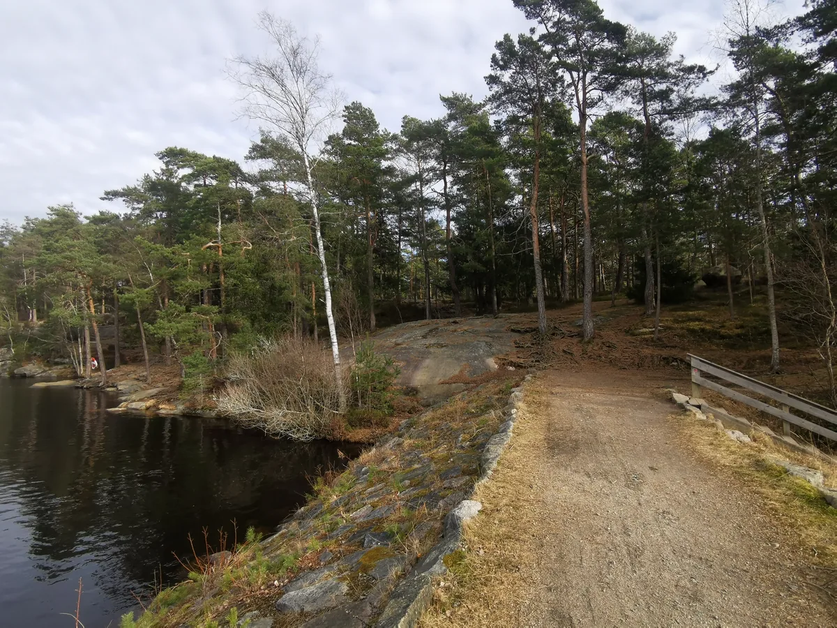 Bilde av Bjørndalsdam 3 badeplass