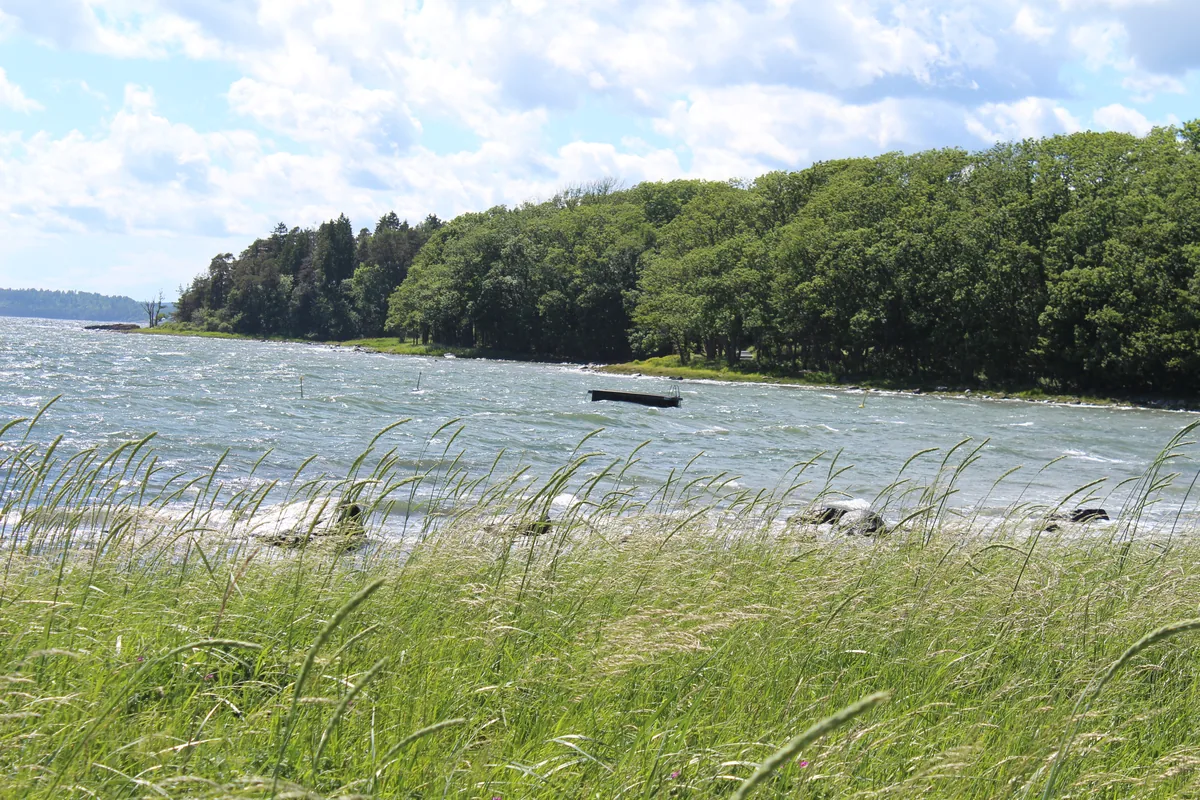 Bilde av Albybukta badeplass