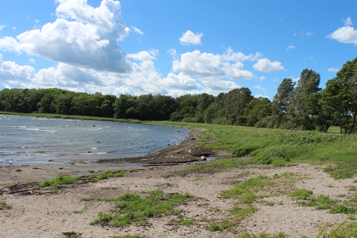 Bilde av Reierbukta badeplass