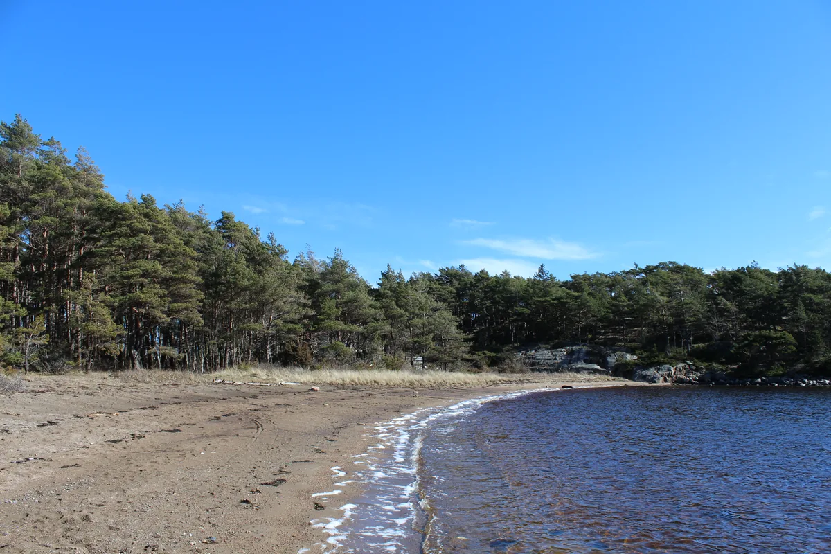 Bilde av Skårsnesstranda badeplass
