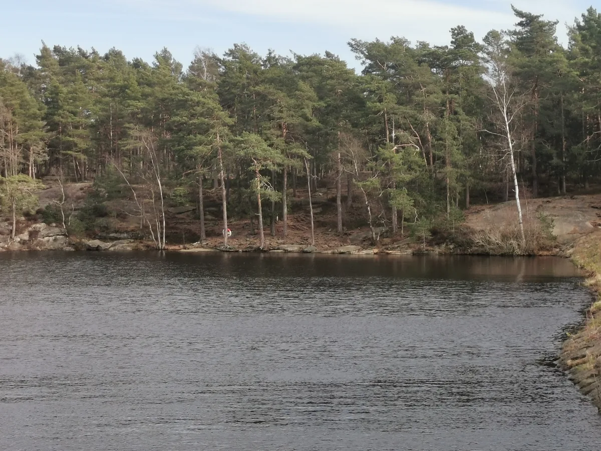 Bilde av Bjørndalsdam 3 badeplass