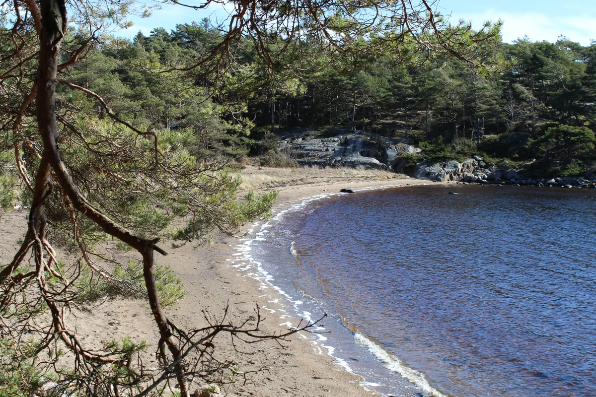 Bilde av Skårsnesstranda badeplass