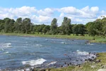 Illustrasjonsbilde av Reierbukta