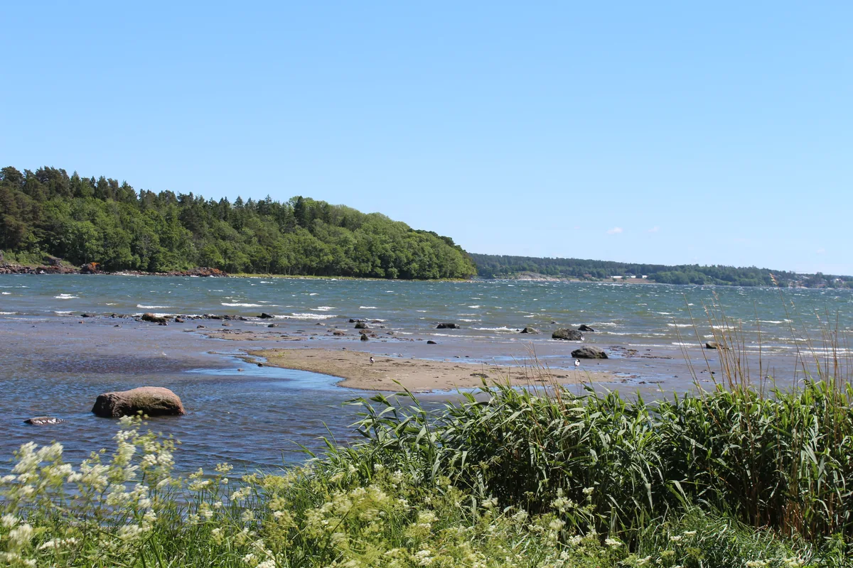 Bilde av Reierbukta badeplass