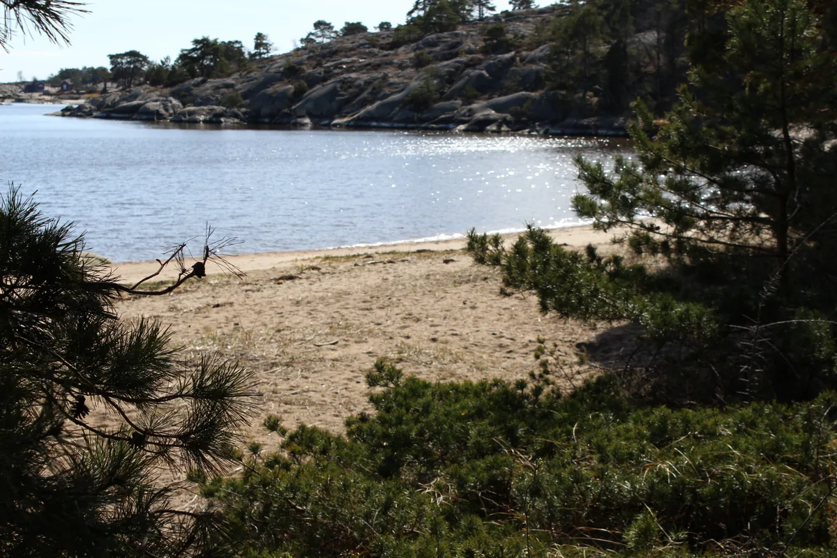 Bilde av Døvika badeplass